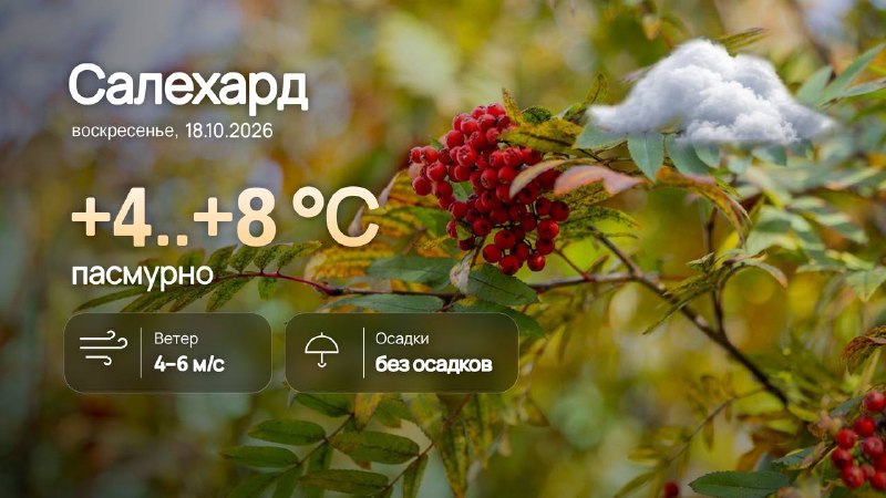 Фото поста канала  САЛЕХАРД онлайн