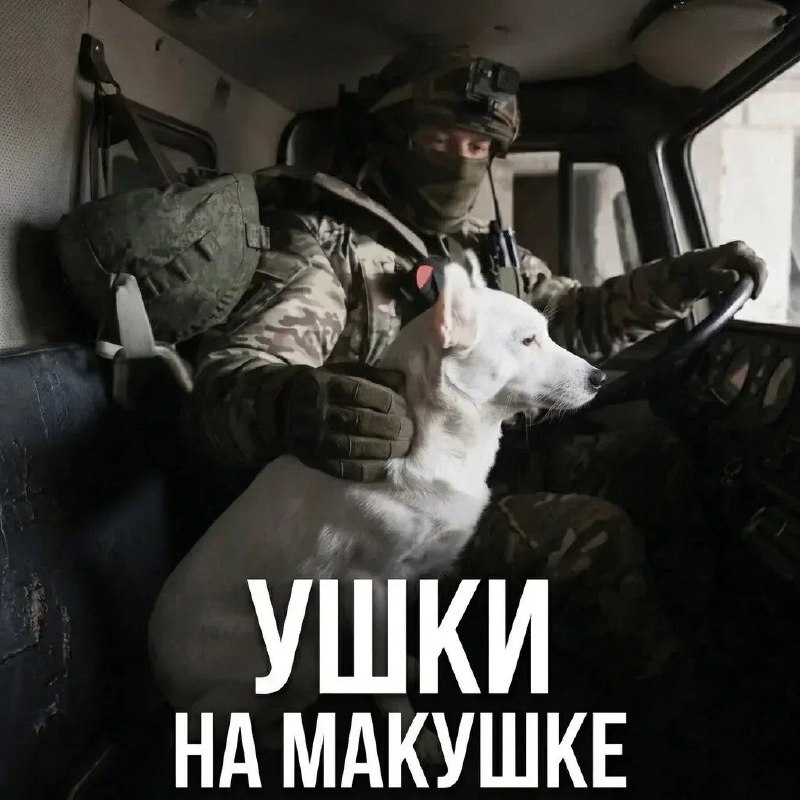 Фото поста канала  InfoDefenseSERBIA