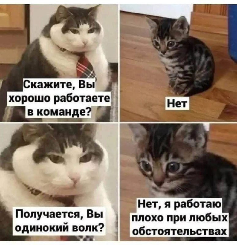 Фото поста канала  ПОЛУАВТОБИЯ
