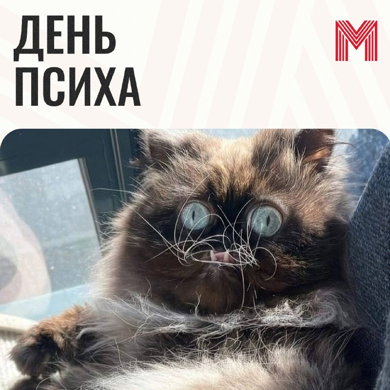 Фото поста канала Москва главное