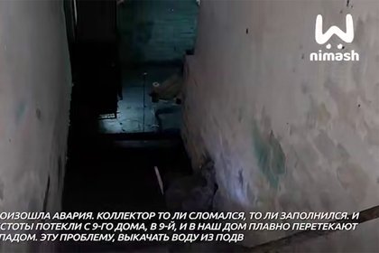 Фото поста канала  Лента Новостей