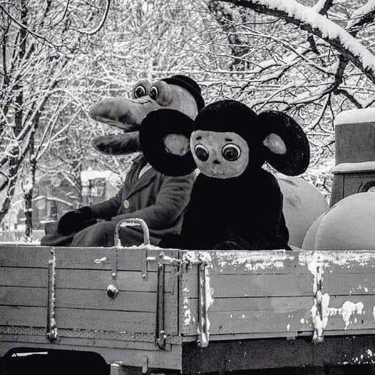Фото поста канала  ПОЛУАВТОБИЯ