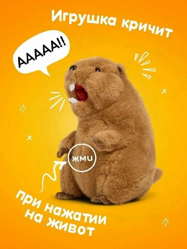 Фото поста канала  Куштау Байрам