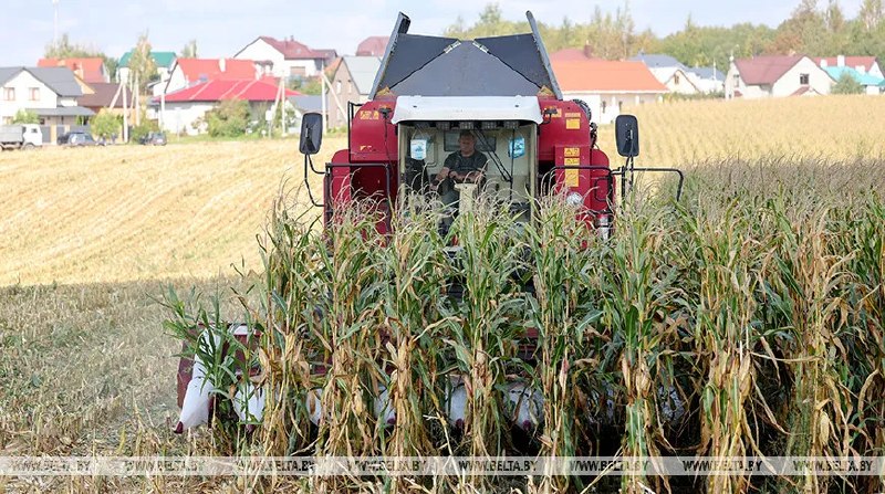 Фото поста канала  Виртуальный Брест новости