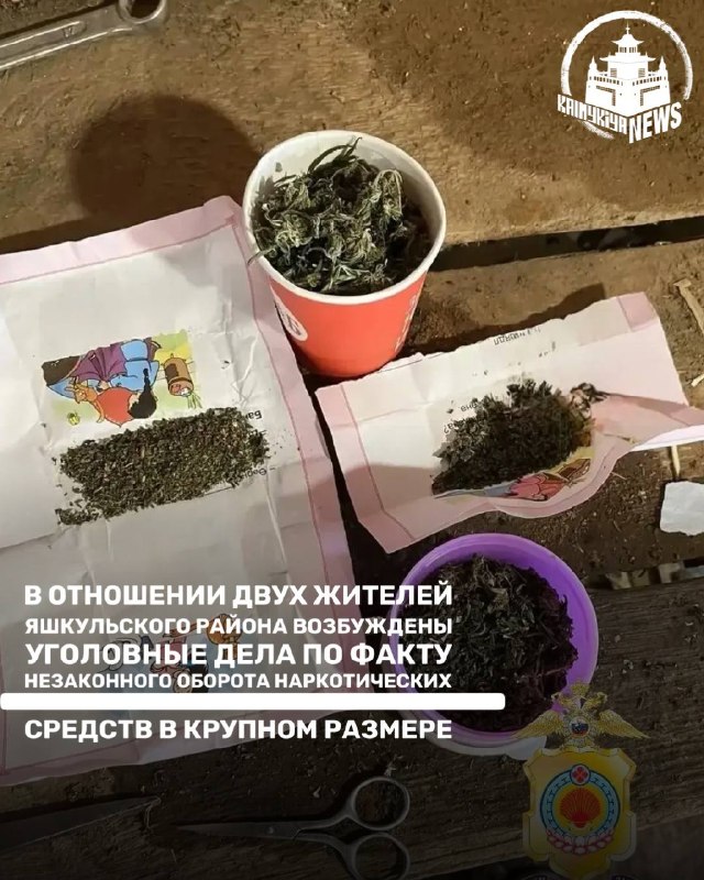 Фото поста канала  Калмыкия NEWS