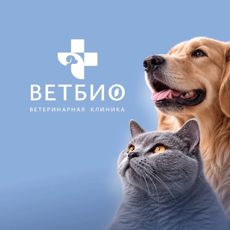 Фото поста канала  Дежурный по Перми
