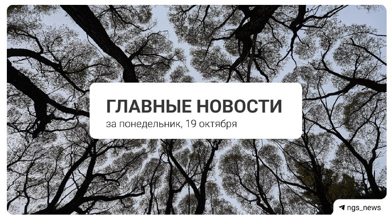 Фото поста канала НГС — новости Новосибирска