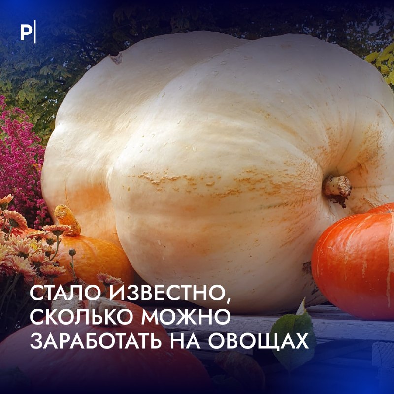 Фото поста канала  PostNews