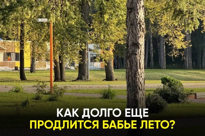 Фото поста канала  ТАТМЕДИА | Новости Казани и Татарстана