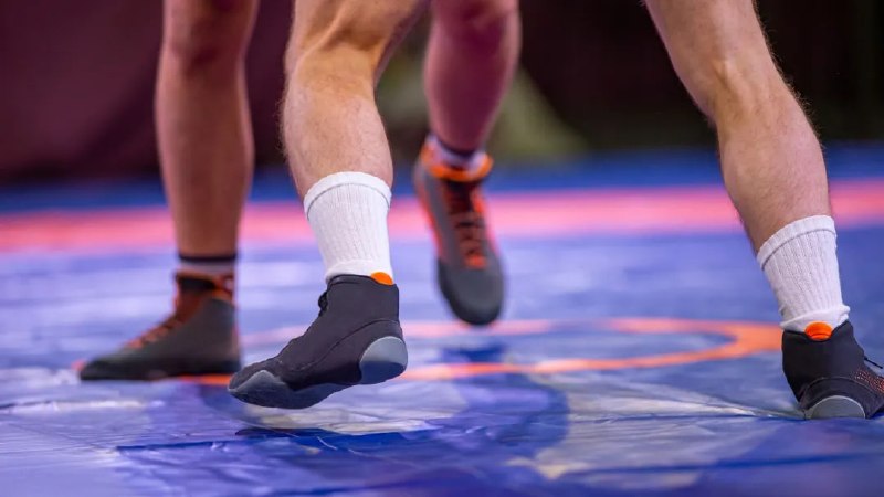 Фото поста канала  ЯМонитор