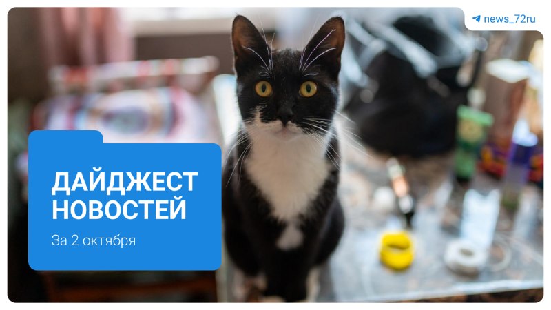 Фото поста канала  Новости Тюмени | 72.RU