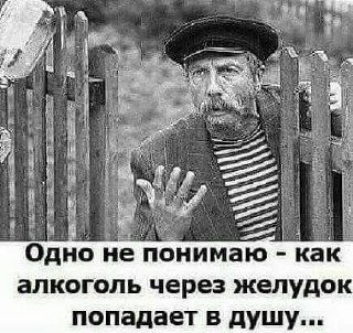 Фото поста канала Анекдоты | Мемы | Юмор 🍒