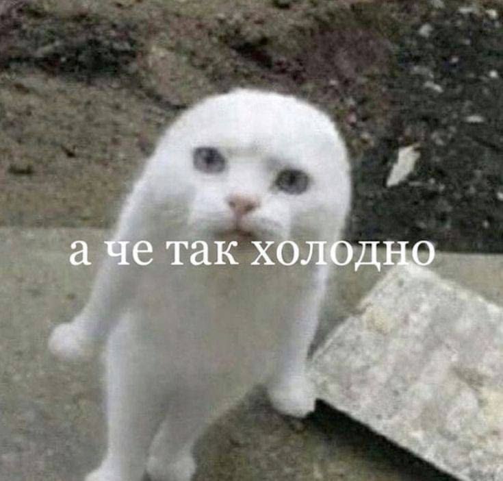 Фото поста канала Chita.Ru | Новости Читы