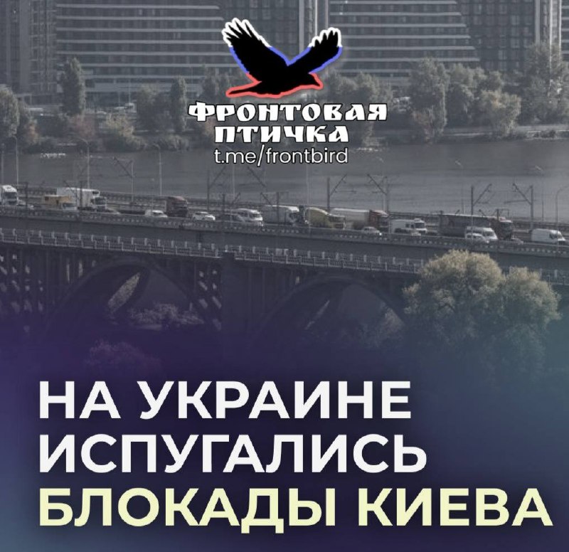 Фото поста канала  Фронтовая птичка