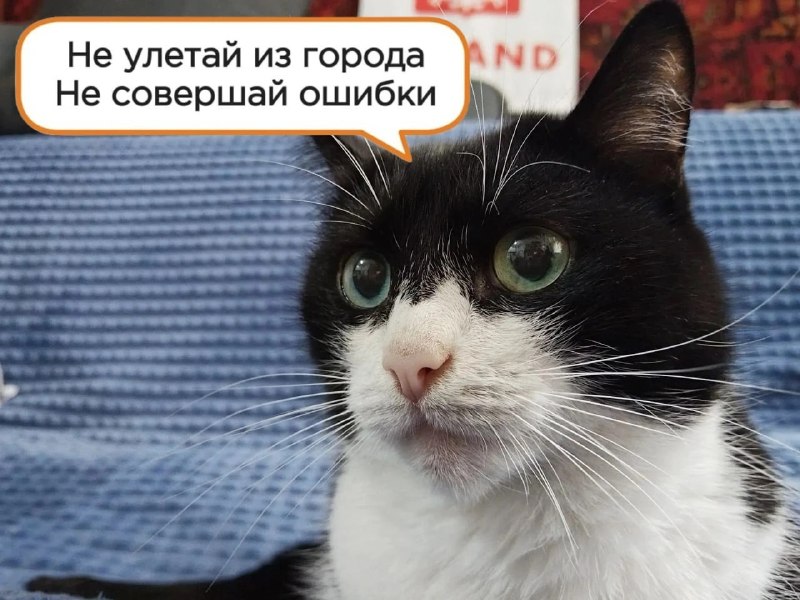Фото поста канала  Мониторинг 66 Свердловская область