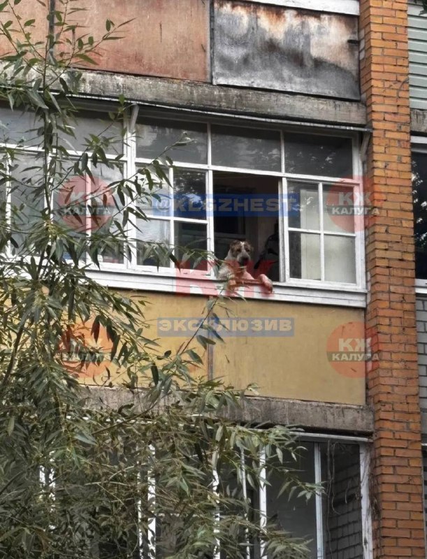Фото поста канала Калуга Жесть