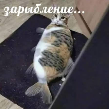 Фото поста канала  Мониторинг 66 Свердловская область