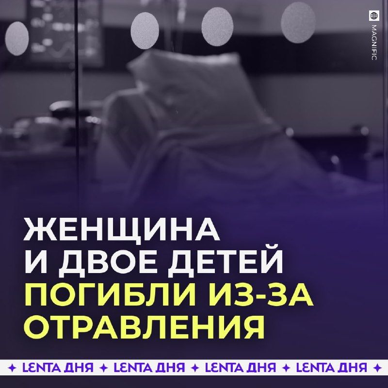 Фото поста канала Лента дня
