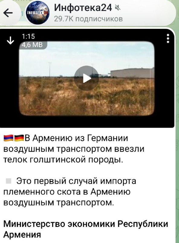 Фото поста канала  Армянская вендетта