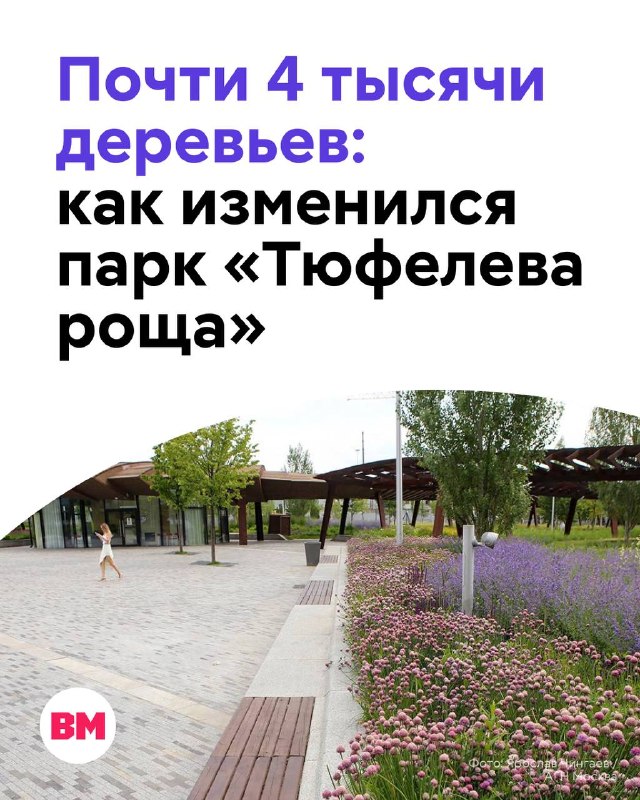 Фото поста канала  Вечерняя Москва