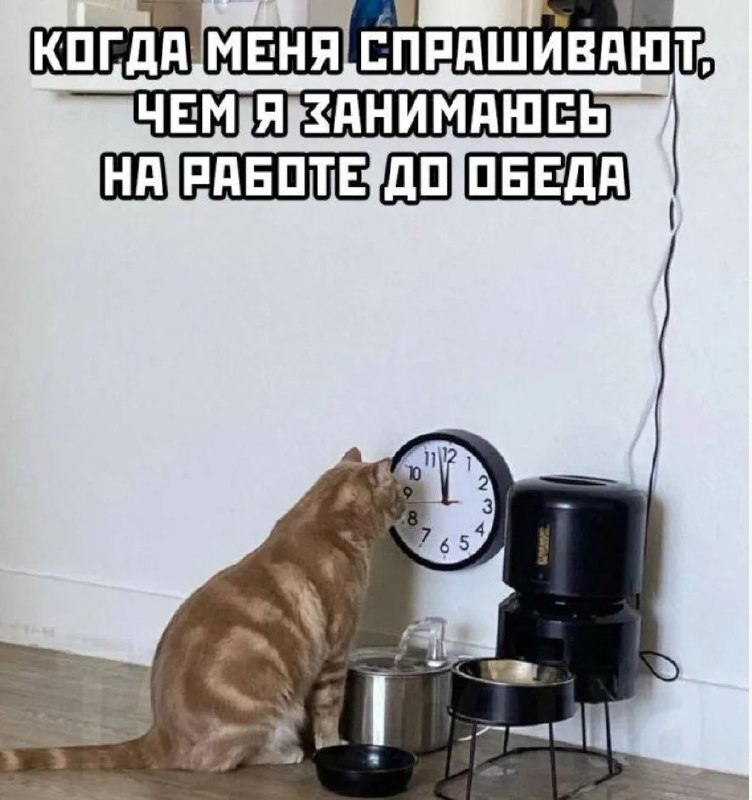 Фото поста канала  ИА ЛАБЫТНАНГИ