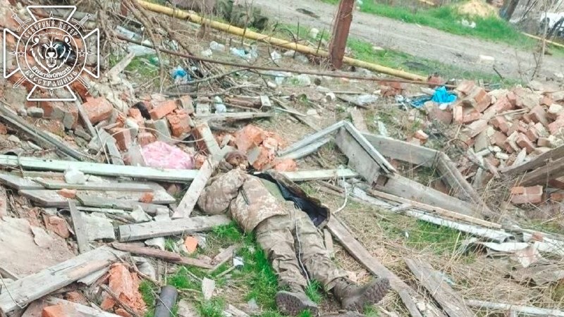 Фото поста канала Северный Ветер