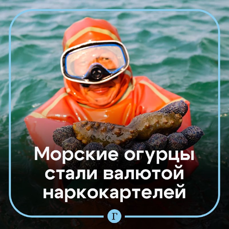 Фото поста канала  Газета.Ru