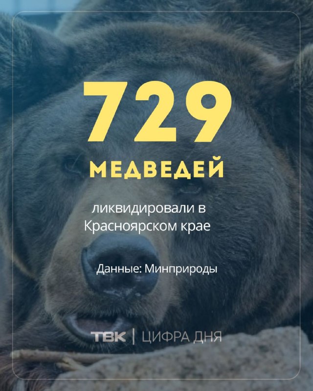 Фото поста канала  ТВК