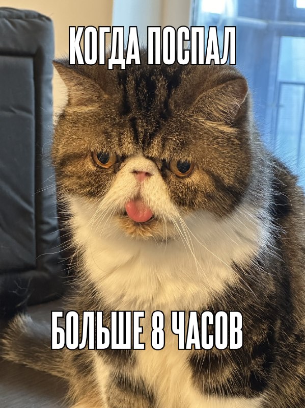 Фото поста канала  Бэкдор