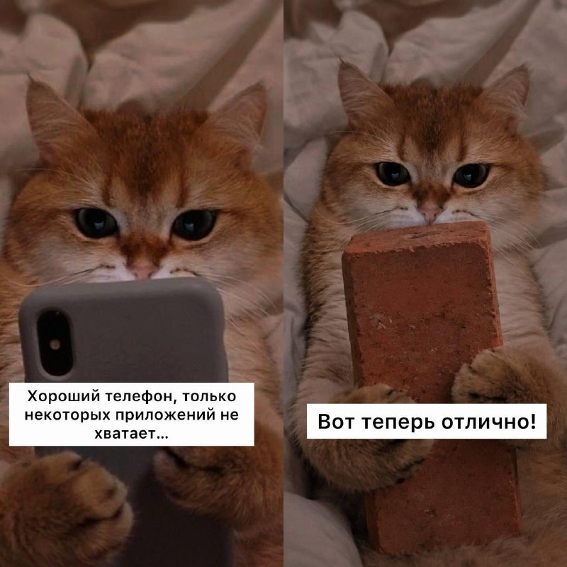 Фото поста канала Петербург с огоньком
