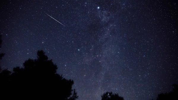 Фото поста канала  Большой воронежский