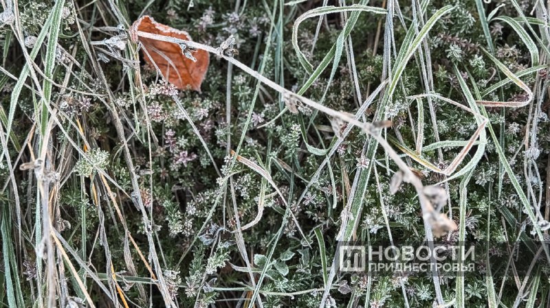 Фото поста канала  ПРИДНЕСТРОВЬЕ РОССИЯ