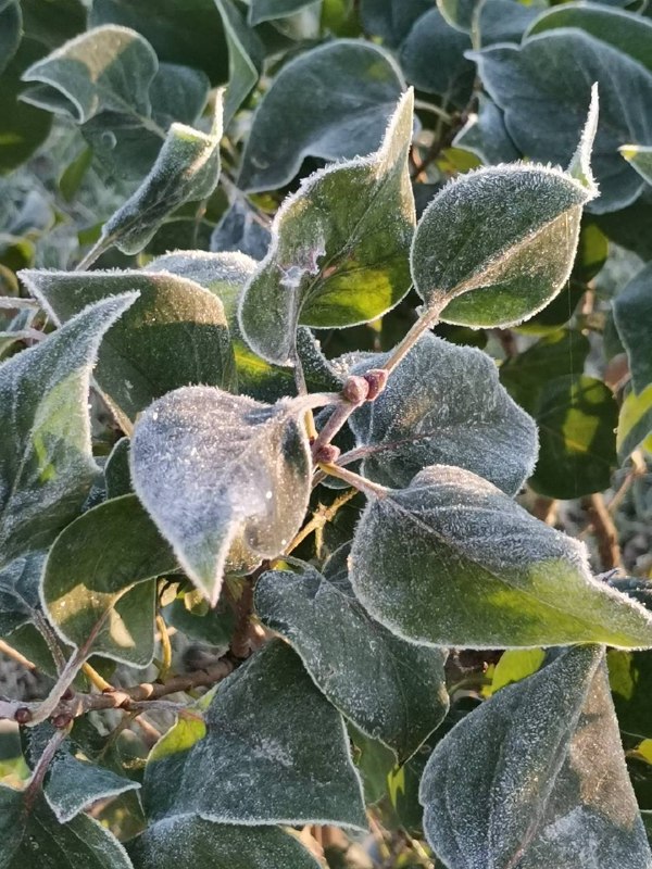 Фото поста канала Московская Хроника