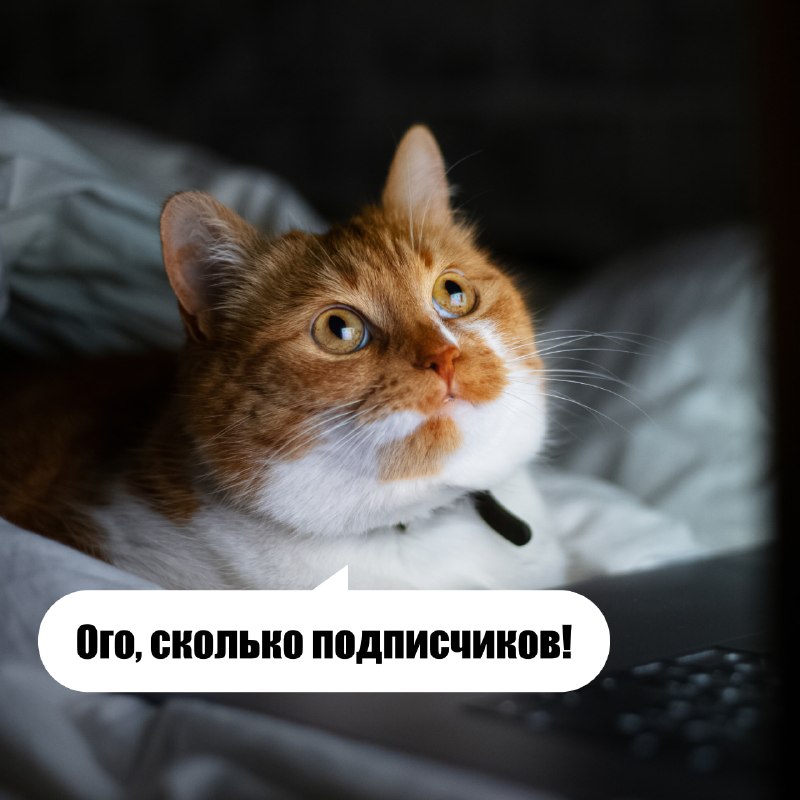 Фото поста канала Пикабу