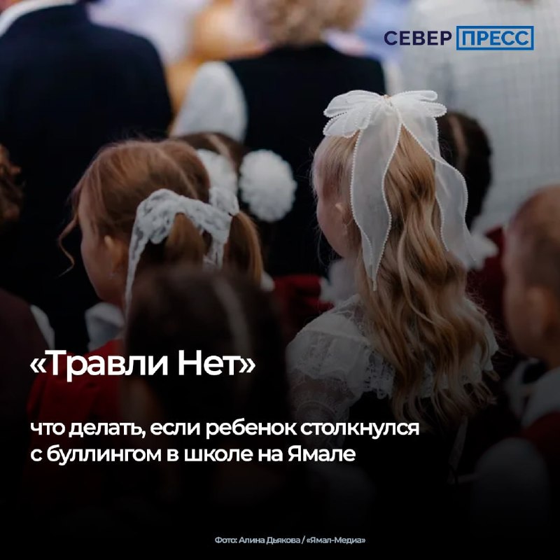 Фото поста канала  Мониторинг 89 Ямало-Ненецкий АО