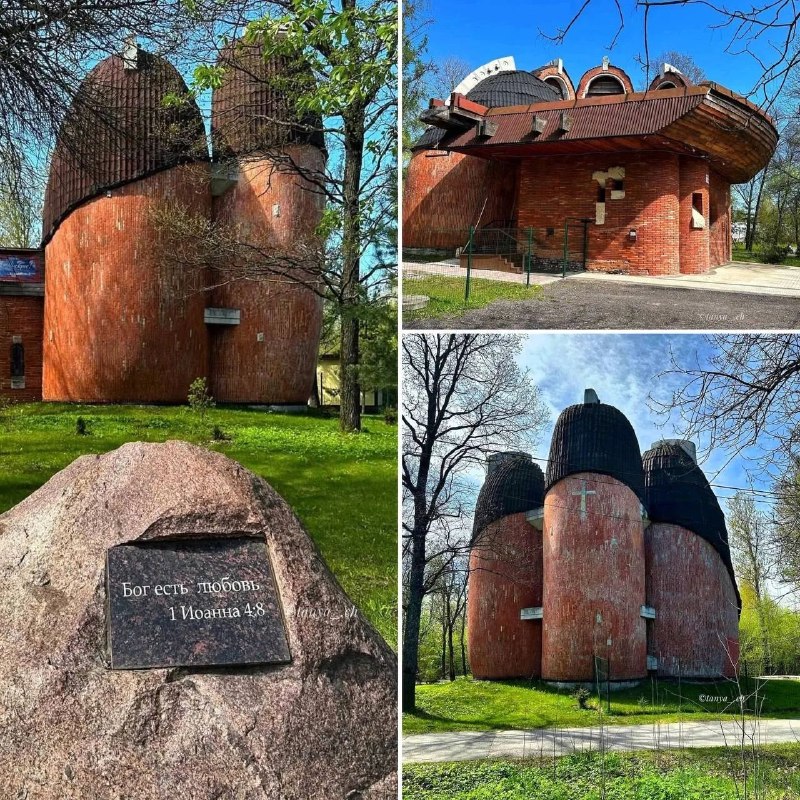 Фото поста канала  Коала Паэлья