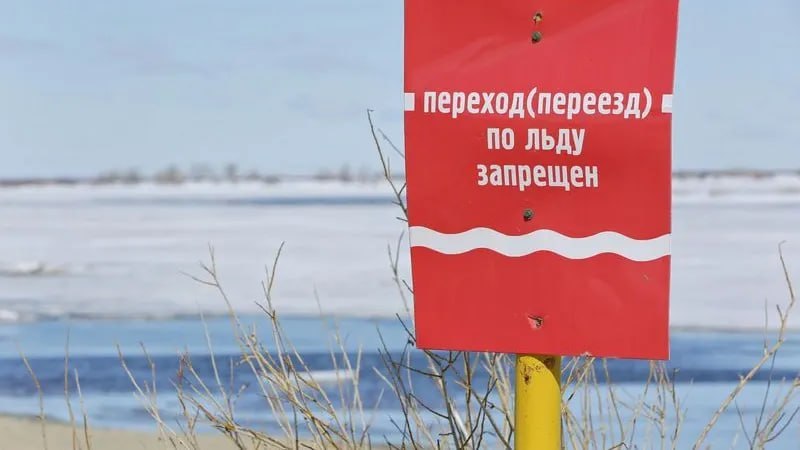 Фото поста канала  Мониторинг Арктика