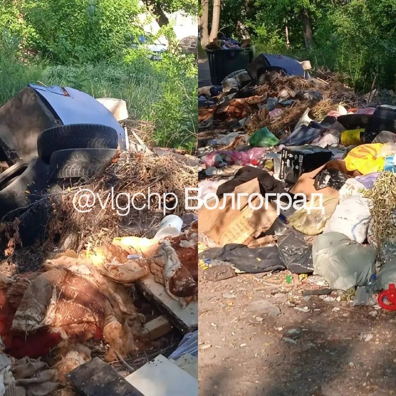 Фото поста канала  Волгоград