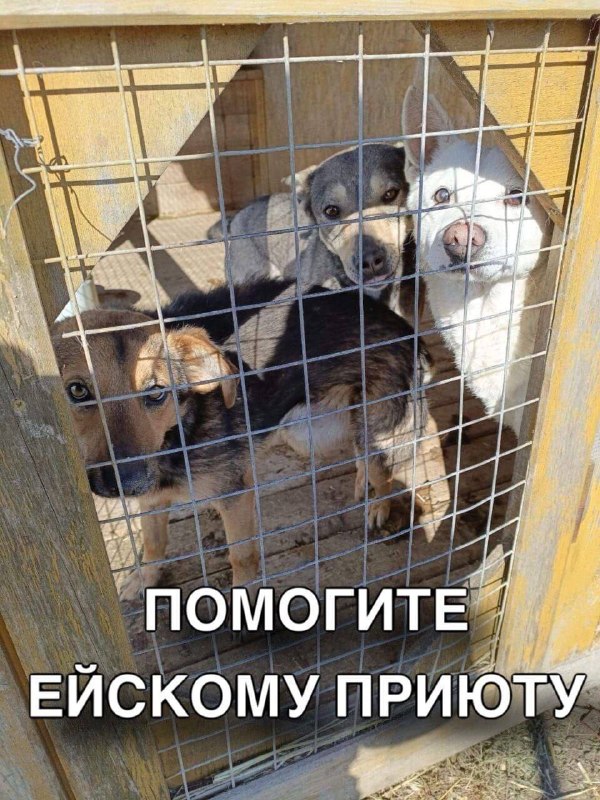 Фото поста канала  Подслушано в Ейске