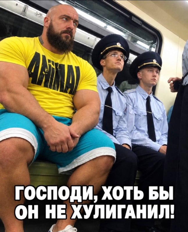Фото поста канала Саваничи