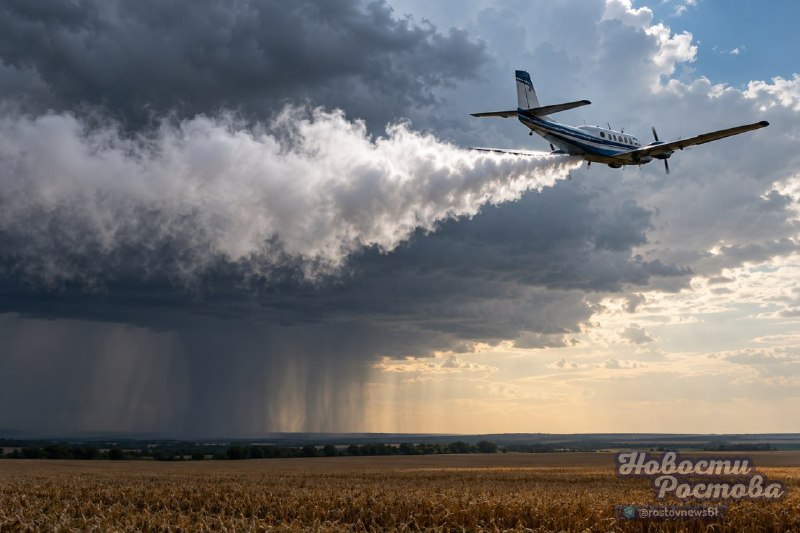 Фото поста канала  Новости Ростова - Rostovnews61
