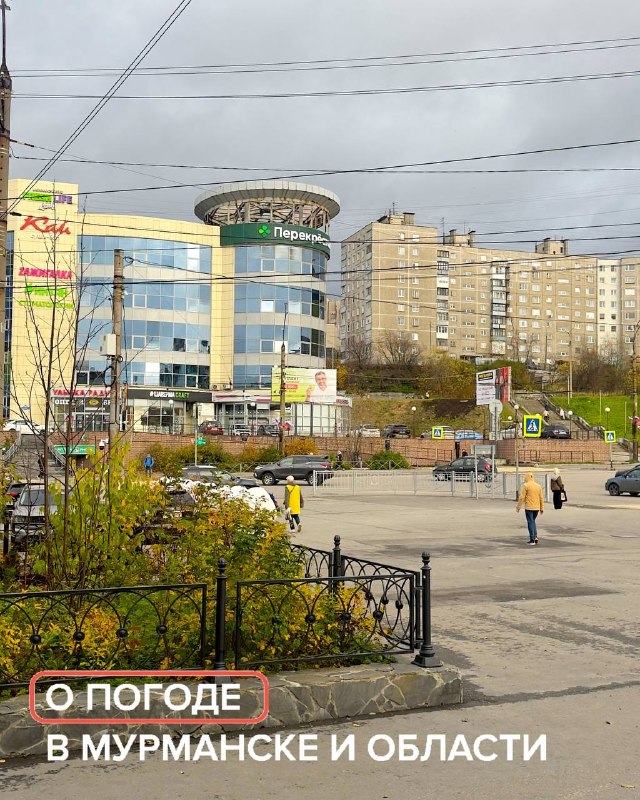 Фото поста канала  Мониторинг Арктика