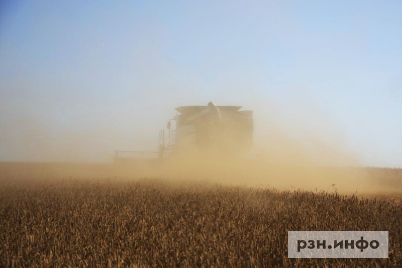 Фото поста канала  Новости Рязани • РЗН.инфо