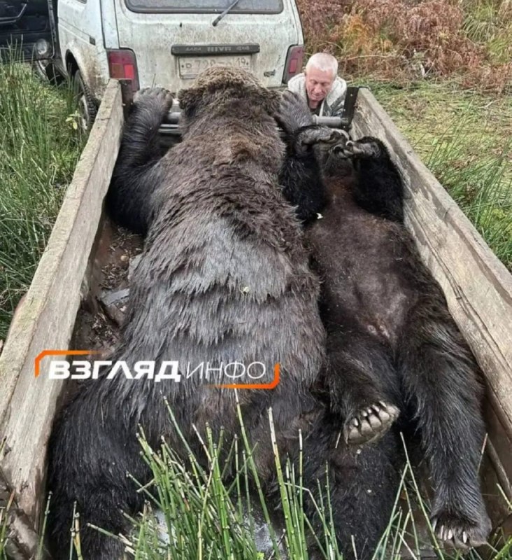 Фото поста канала  Мониторинг 24 Красноярский край