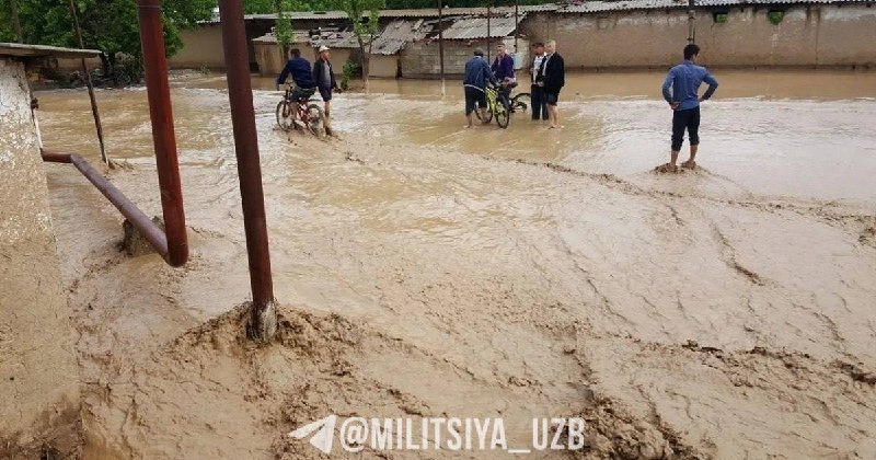 Фото поста канала  MILITSIYA UZB | Расмий канал