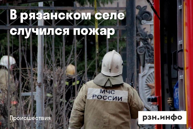 Фото поста канала  Новости Рязани • РЗН.инфо