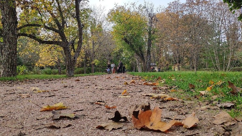 Фото поста канала  Лента новостей Крыма Z Новости Крыма