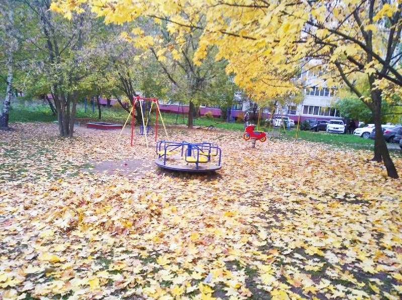 Фото поста канала  Ивановские новости