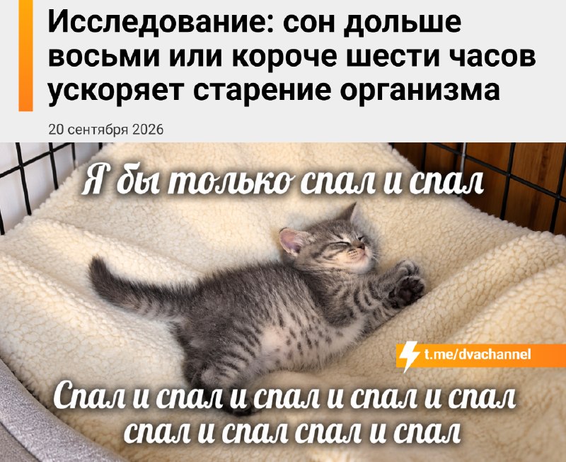Фото поста канала Двач