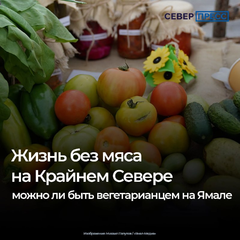 Фото поста канала  Мониторинг 89 Ямало-Ненецкий АО